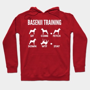 Basenji Training Basenji Dog Tricks Hoodie